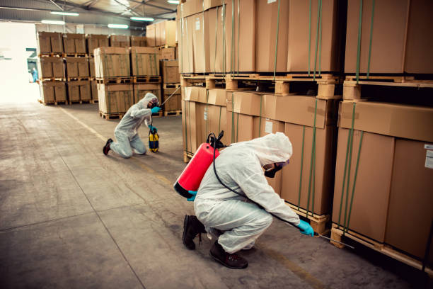 Best Wasp Removal Services  in Bridgeport, WV