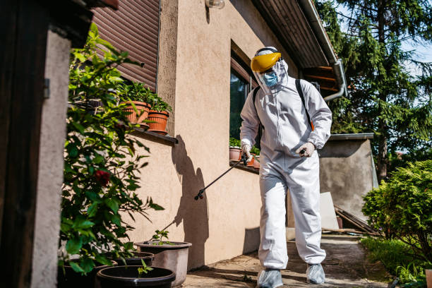 Best Pest Removal Services  in Bridgeport, WV