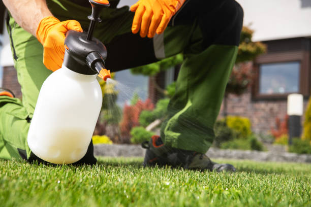 Pest Control Cost in Bridgeport, WV