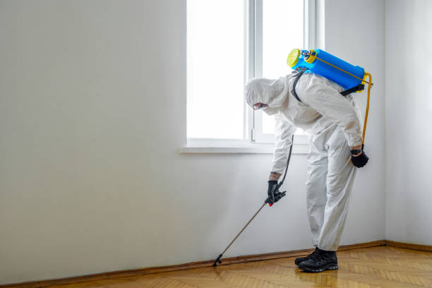 Best Pest Prevention Services  in Bridgeport, WV