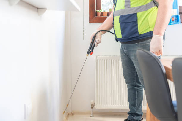 Best Local Pest Control Services  in Bridgeport, WV
