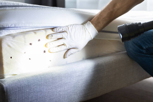 Best Pest Control Near Me  in Bridgeport, WV