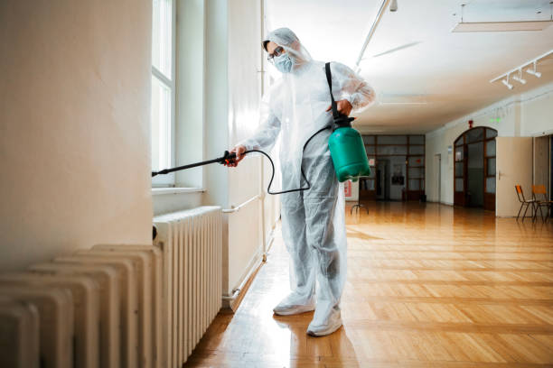 Best Termite Control Services  in Bridgeport, WV
