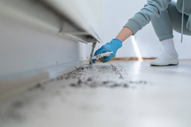 Best Commercial Pest Control Services  in Bridgeport, WV