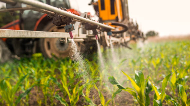 Best Mosquito Control Services  in Bridgeport, WV