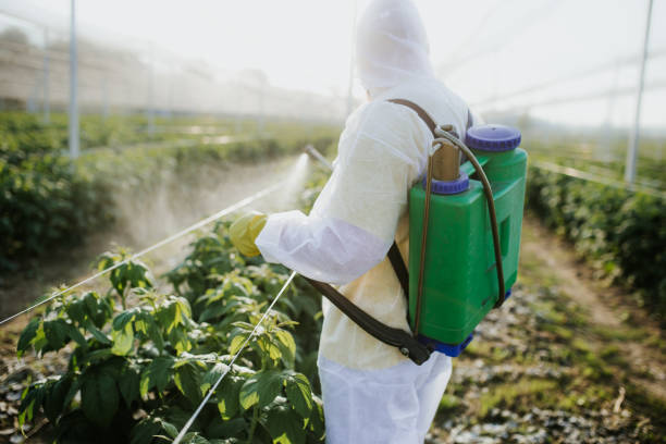 Professional Pest Control in Bridgeport, WV